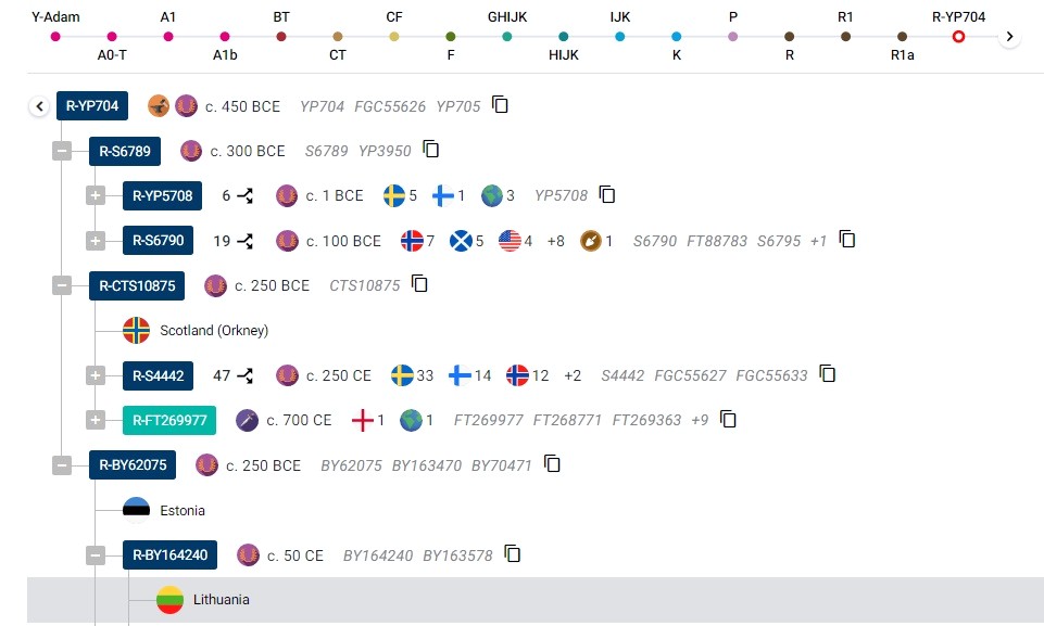 FTDNA's SNP Tree for R-BY164240